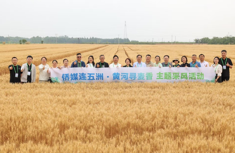 【视频】“麦”向未来：海外华媒探秘运城“农业芯片”