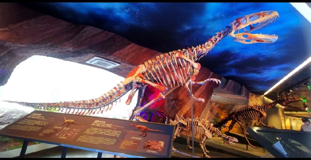 【视频】“世界恐龙化石宝库”——云阳